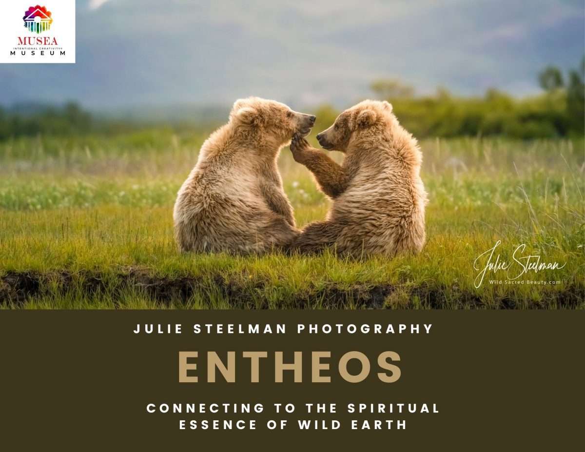 Entheos Exhibit - Julie Steelman