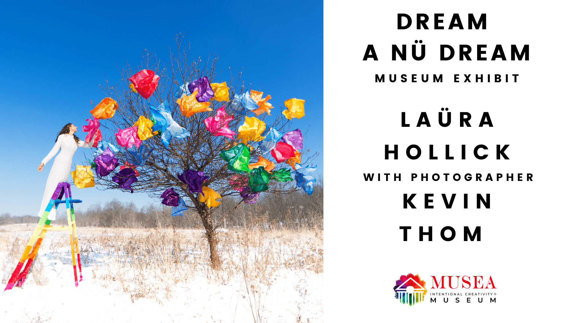 Dream A Nu Dream
